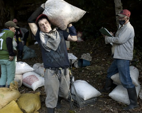 Venezuelan Refugees Join Colombia’s Workforce