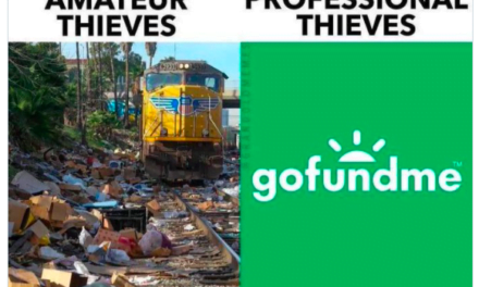 GoFundMe Attempts to Steal 8M in Donations to Truckers 