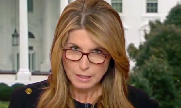 MSNBC’s Nicole Wallace lays out Democrat 2022 strategy. ha, ha, ha