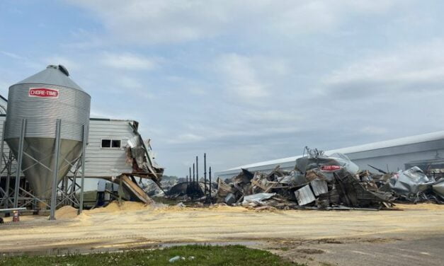 Another Food Processing Plant Attacked, Burned 