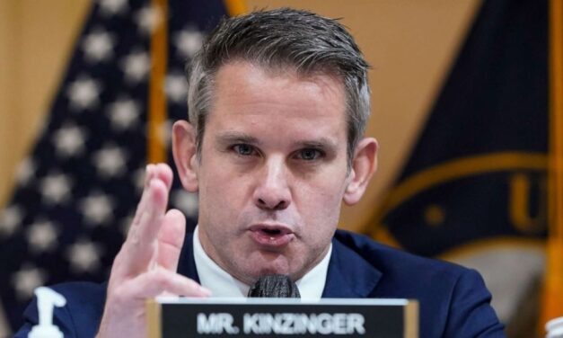 What happened to Kinzinger and Walsh?