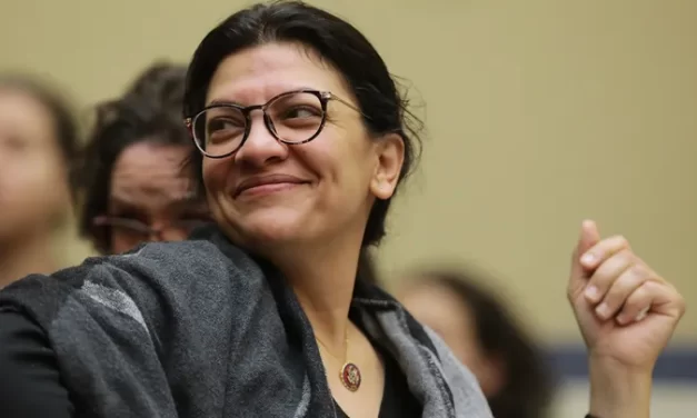Squad Member Tlaib Demands Green Energy Only – Banks Unanimously Reject Her