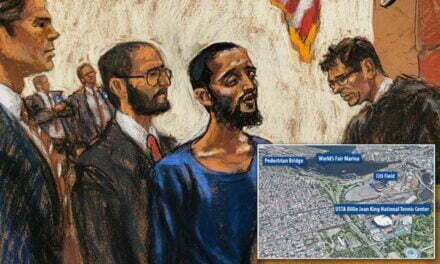 Islamist Terror: Pakistani Immigrants Pleads Guilty to Terror Plot in NY