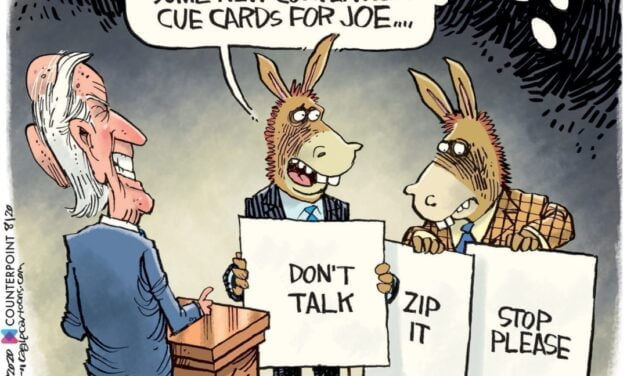 Biden “Armageddon” comment … strategy or gaffe?