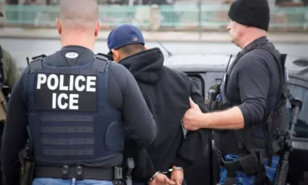 ICE Stops Nearly 150 Convicted Sex Offenders at the Border!