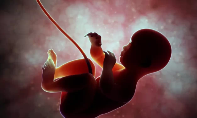 It is Not Easy to be Pro-Life…But Necessary