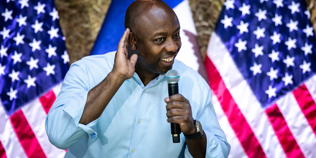 Do Not Underestimate Tim Scott