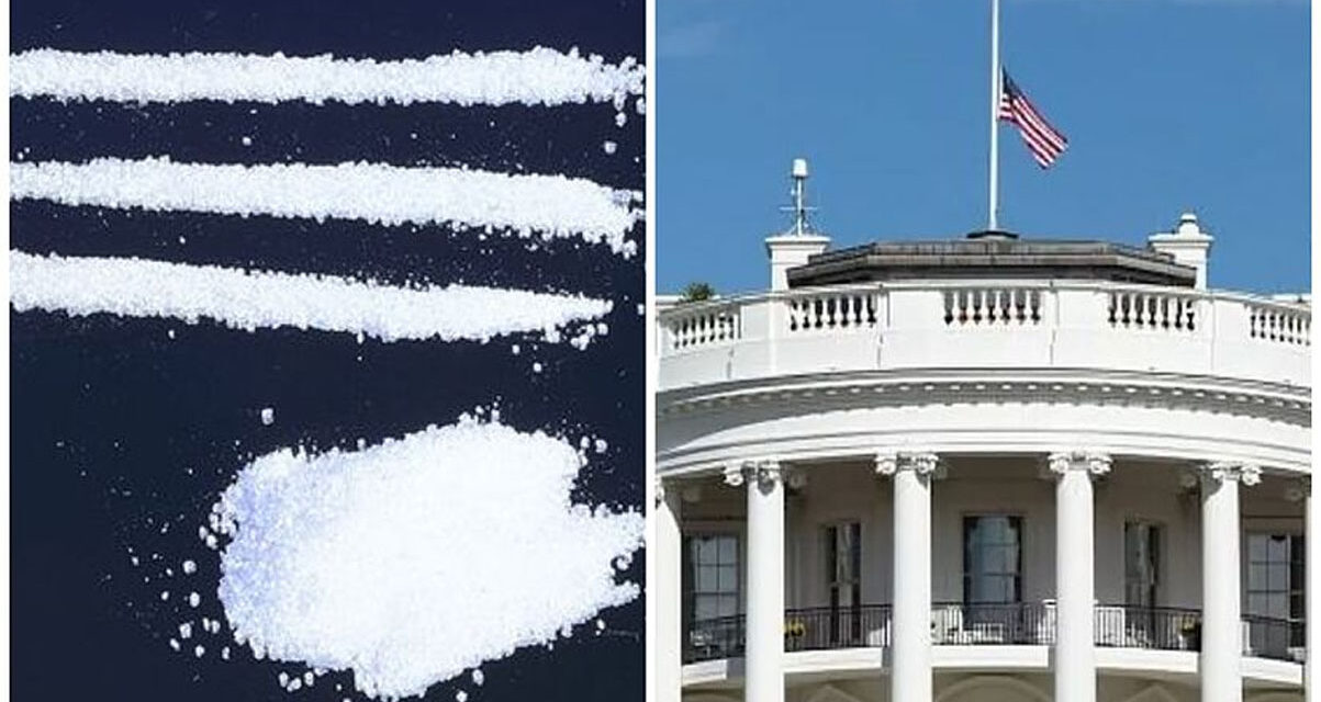 Secret Service Affirms Substance Found in White House is Cocaine – Dealer Quantities
