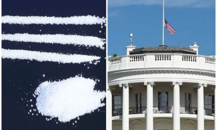 Secret Service Affirms Substance Found in White House is Cocaine – Dealer Quantities