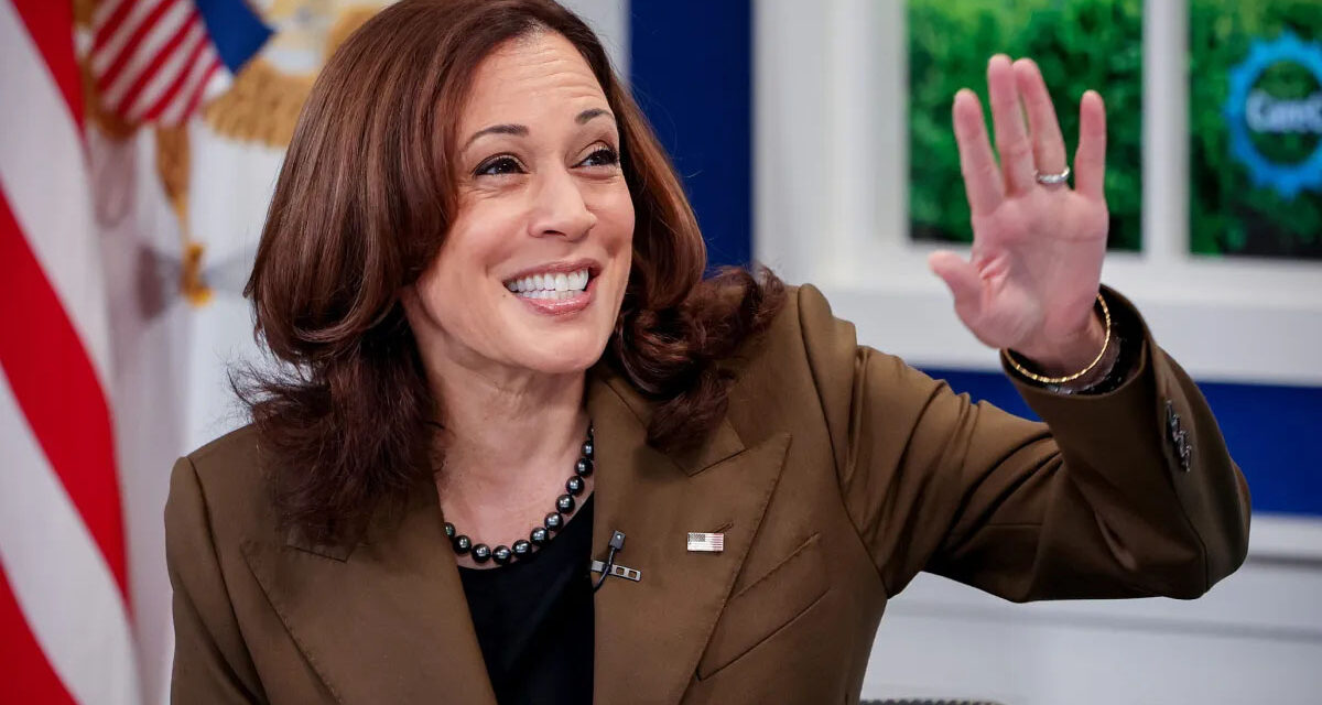 Harris Says She “Is Ready” to Assume the Presidency if “She Has To”