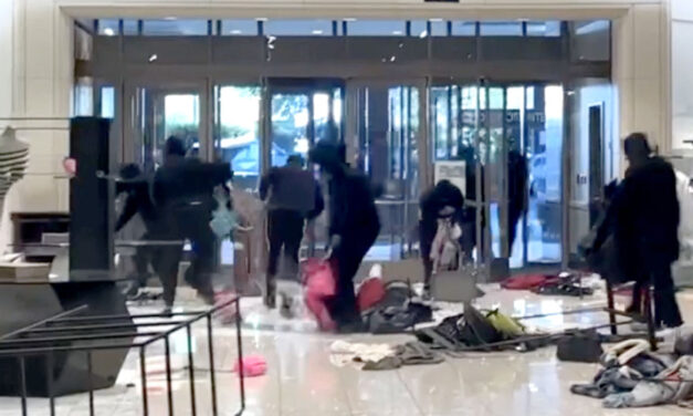 The $100B Cost of Risk-Free Shoplifting – The Consequences of “Woke” Crime Policies