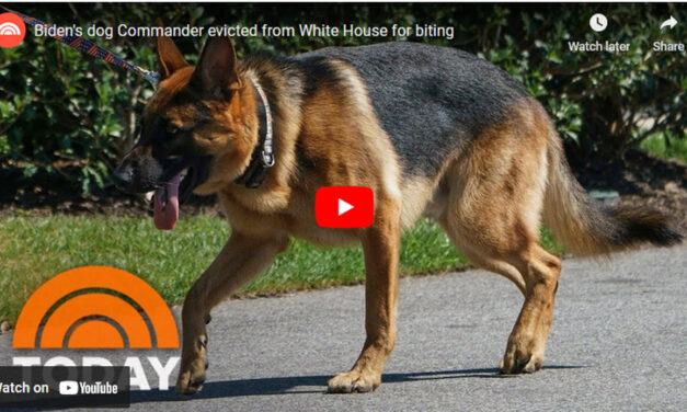 Video of Biden Seemingly Kicking His Dog Raises Pet Abuse Concerns