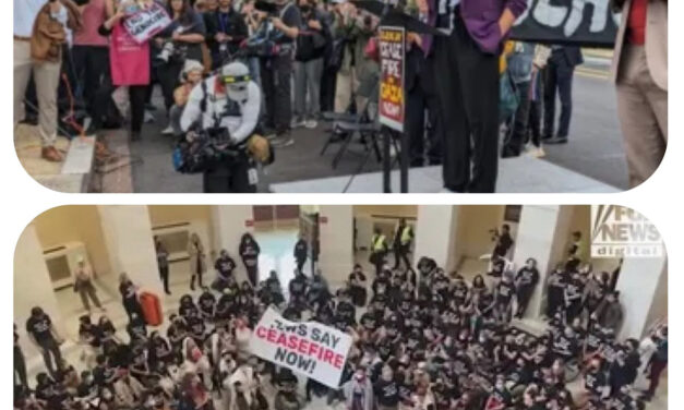 Pro-Palestine Leftists Raid Federal Capitol in Protest: Insurrection?