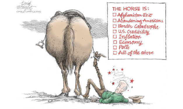 Biden lacks testicular fortitude**