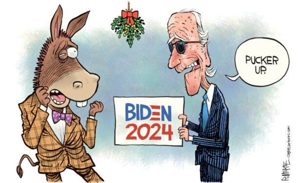 Democrats playing the age card.  Really?