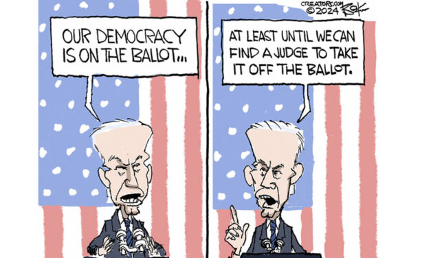 Voters say democracy is on the ballot … but whose democracy?