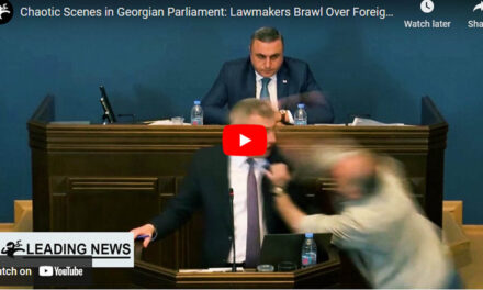 Georgian Lawmakers Throw Punches over Foreign Agent Legislation