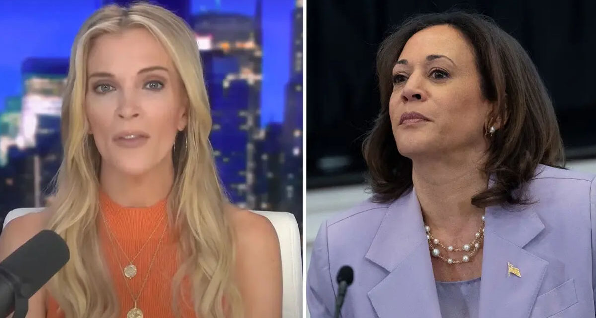 Megyn Kelly Calls Kamala Harris “Bitter” For Her ‘Kick That F–king Door Down’ Comment