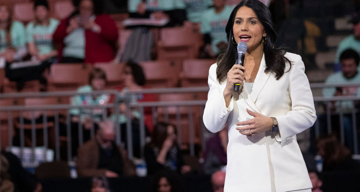 Remember Tulsi Gabbard? Well, She Remembers Harris and Not in Good Way