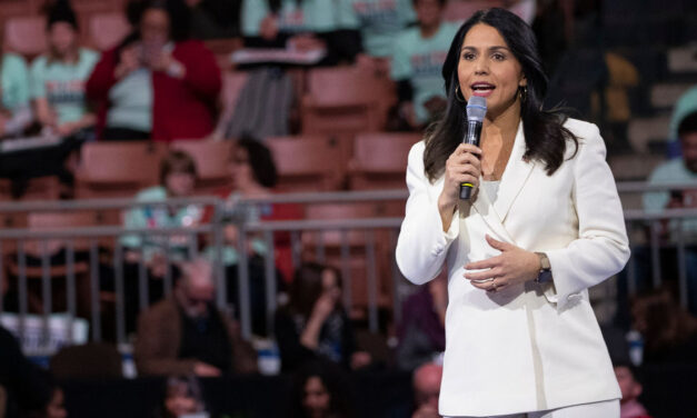 Remember Tulsi Gabbard? Well, She Remembers Harris and Not in Good Way