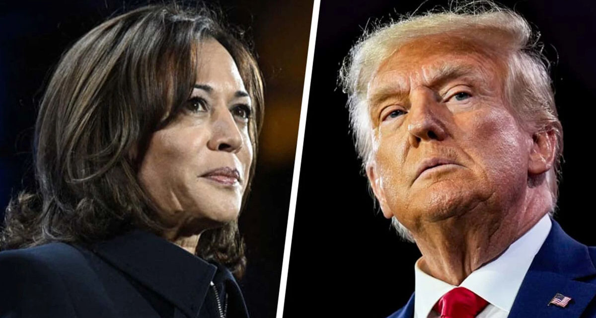 Trump vs Kamala Debate – Hmmmm…