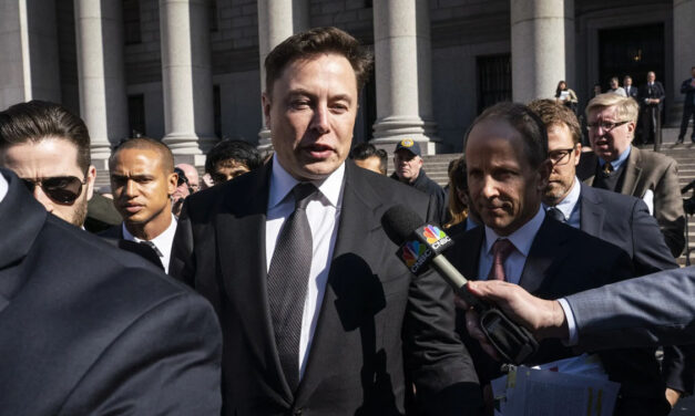 Furious Liberals Put Elon Musk in Crosshairs