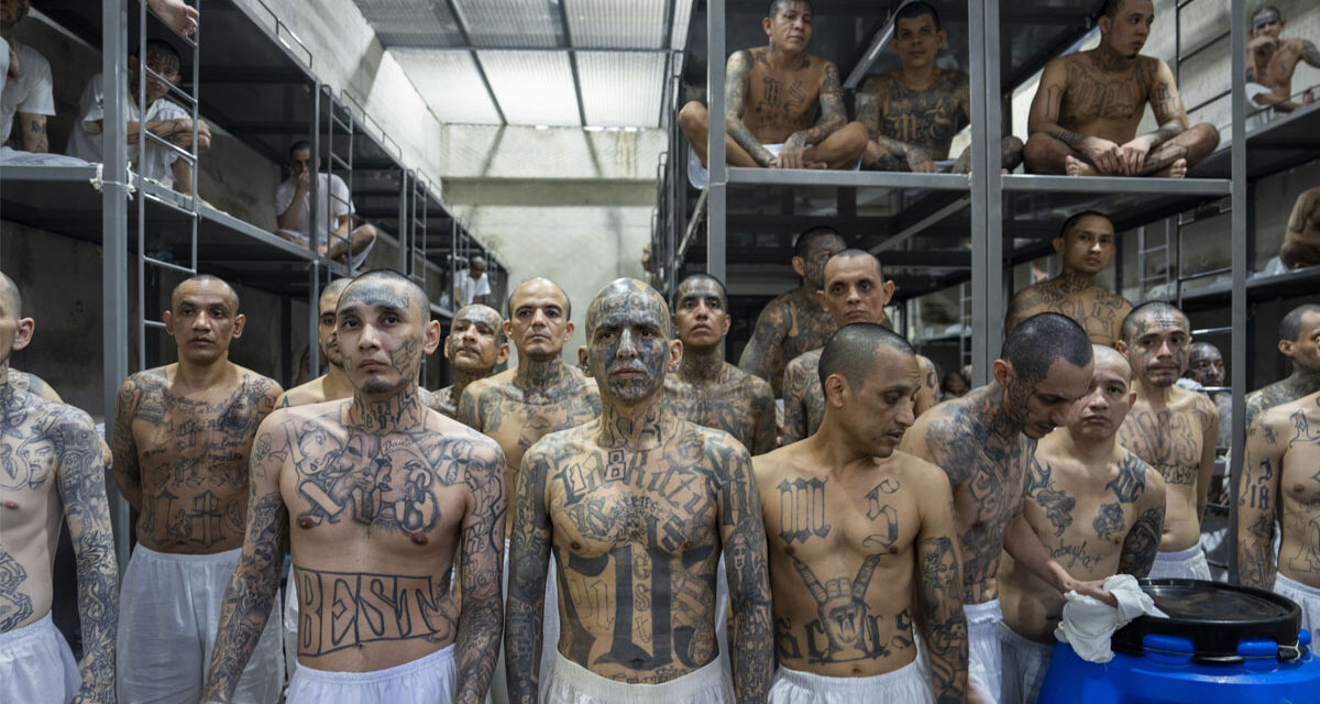 El Salvador Throws Its Gangs in Prison. Problem Solved? or Massive Human Rights Violation?