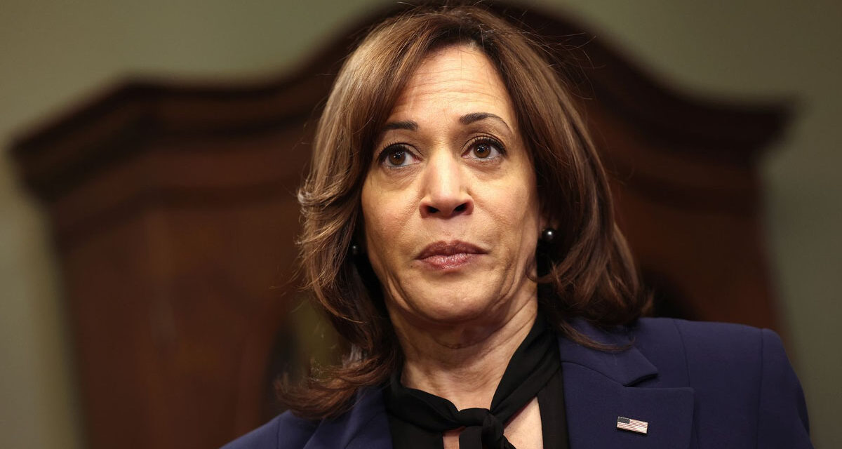 Desperate Dems Cling to Unlikely Way Harris Can Still Become POTUS