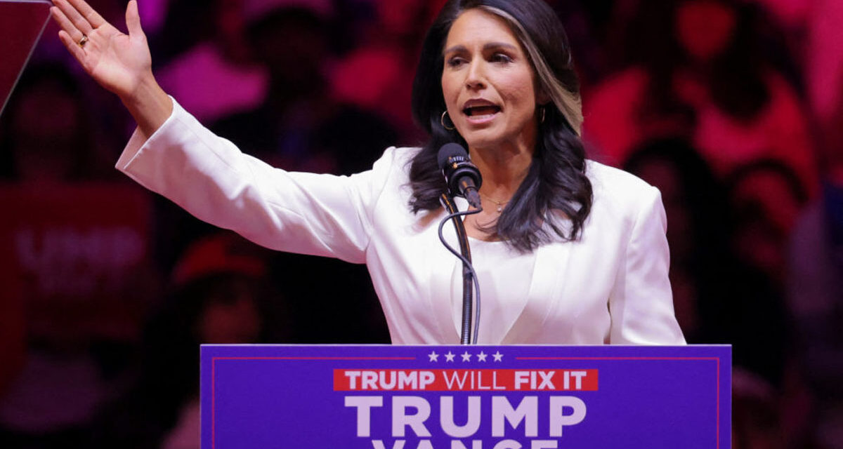 Trump Taps Tulsi for DNI