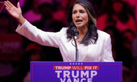 Trump Taps Tulsi for DNI