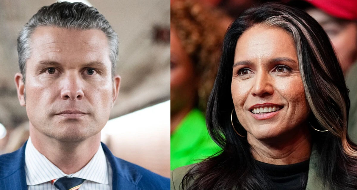 Hegseth odds up … Gabbard down