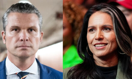 Hegseth odds up … Gabbard down