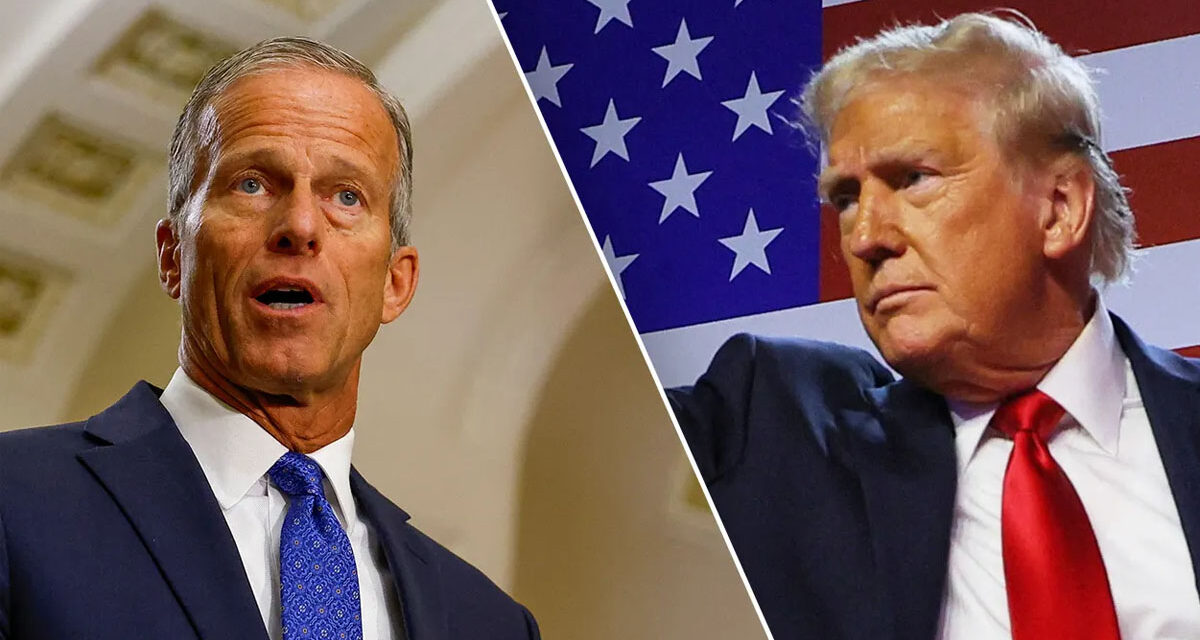 Thune Plans to Push Trump Agenda in the First 30 Days