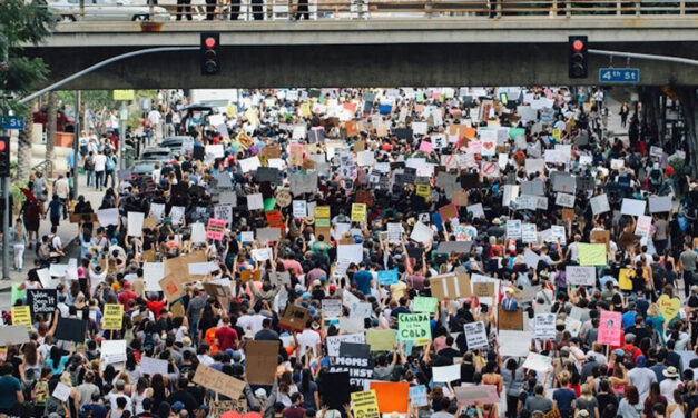 Crowds on Demand provides paid protesters