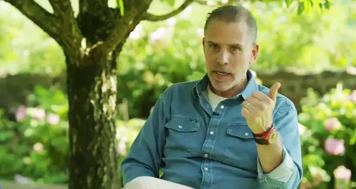 Hunter Biden returns to spotlight with irrational obscene rant