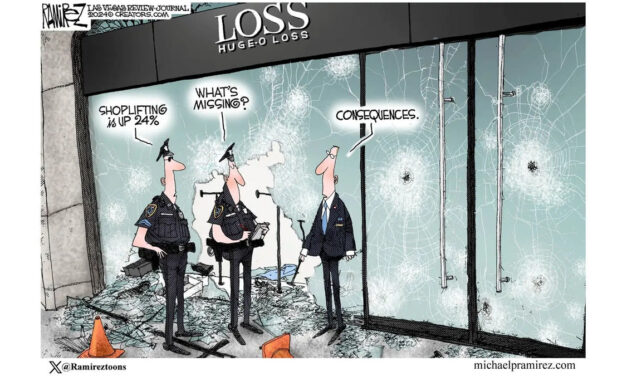Democrats Again Champion Criminals — This Time in Washington