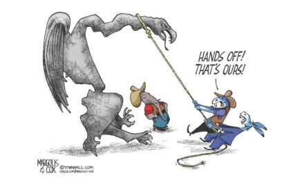 Gerrymandering is a permanent part of the  American fabric