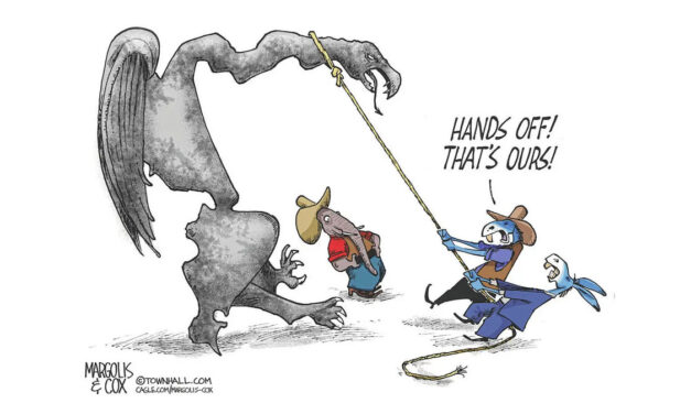 Gerrymandering is a permanent part of the  American fabric