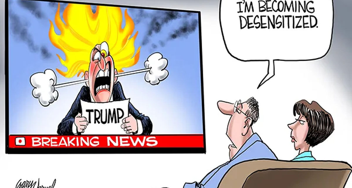 Long Road Ahead for Trump-Crazed Critics