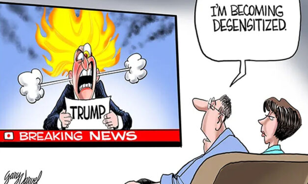 Long Road Ahead for Trump-Crazed Critics