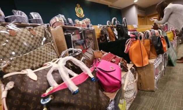 ICE Sweep of NYC’s Canal Street Nabs 9 Illegals With Violent Pasts