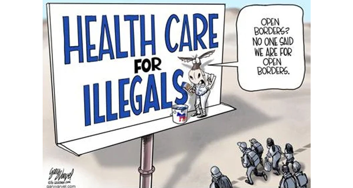 Who is lying about healthcare for illegal aliens?