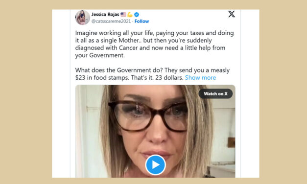 Democrats Shielding Illegal Aliens in Food Stamps Fraud Inquiry