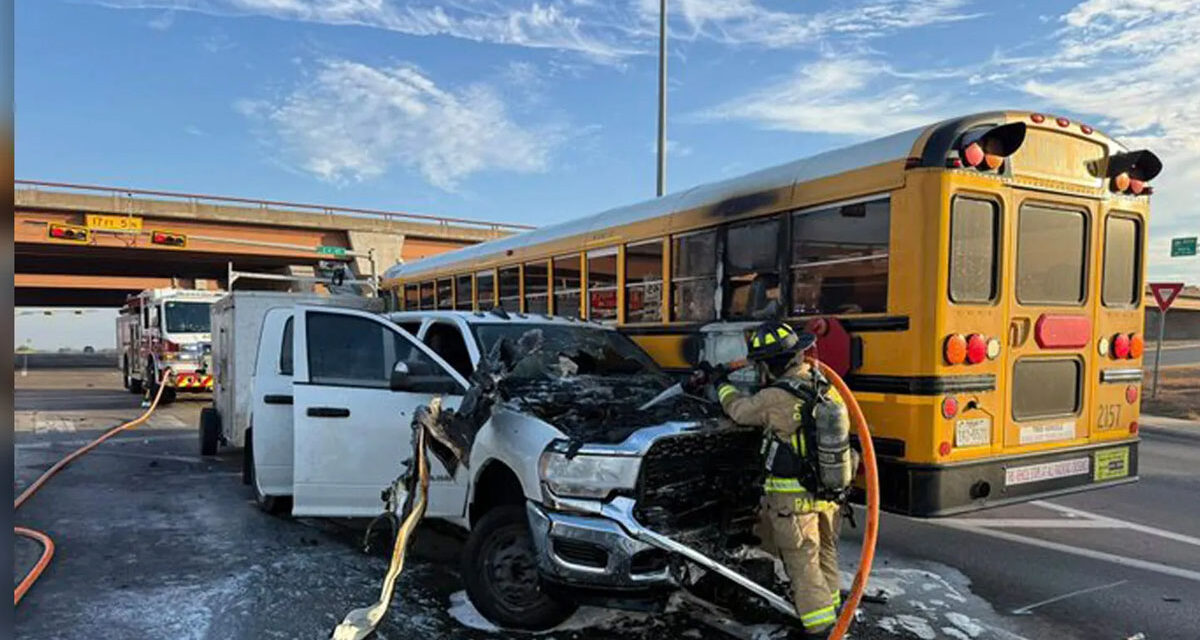 Illegal Migrants Charged With Firing Guns in Crowded National Park