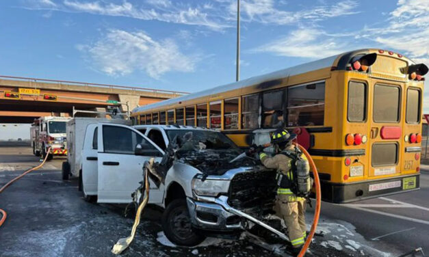 Illegal Migrants Charged With Firing Guns in Crowded National Park