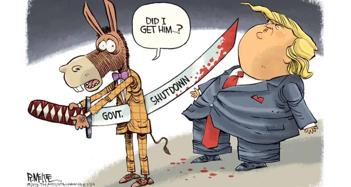 Democrats Have Decided a Government Shutdown is Good Politics.