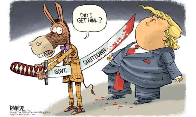 Democrats Have Decided a Government Shutdown is Good Politics.