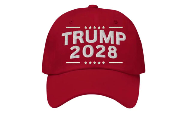 A third term for Trump?  Ridiculous.