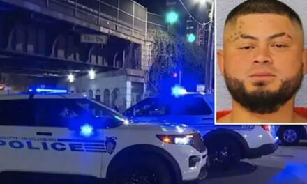 Attack by Another Knife-Wielding Illegal Months After Deadly Stabbing on NC Rail