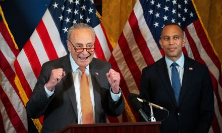 Democrats Rush to Judgment in Minneapolis ICE Shooting